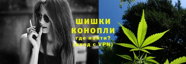 крисы Белокуриха