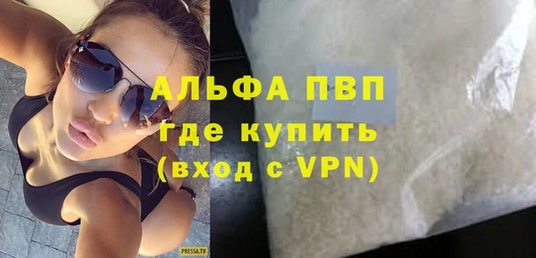 крисы Тайга