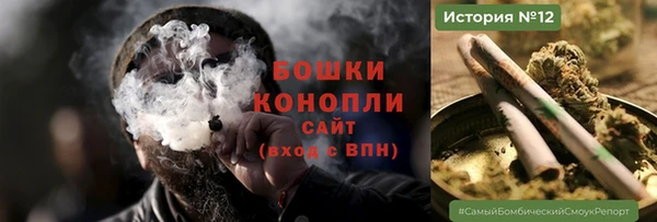 крисы Белокуриха