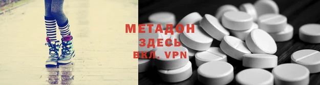 крисы Тайга