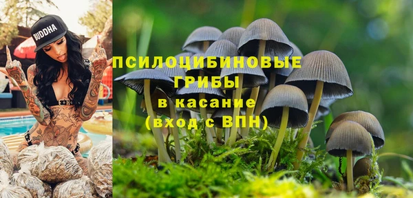 крисы Белокуриха