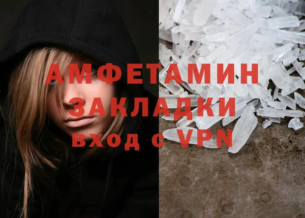 крисы Тайга