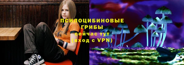 apvp Сясьстрой