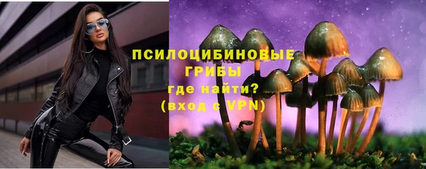 крисы Белокуриха