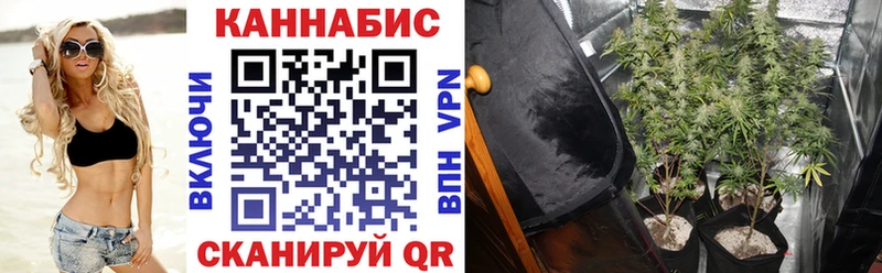 наркотики  Буинск  Канабис планчик 